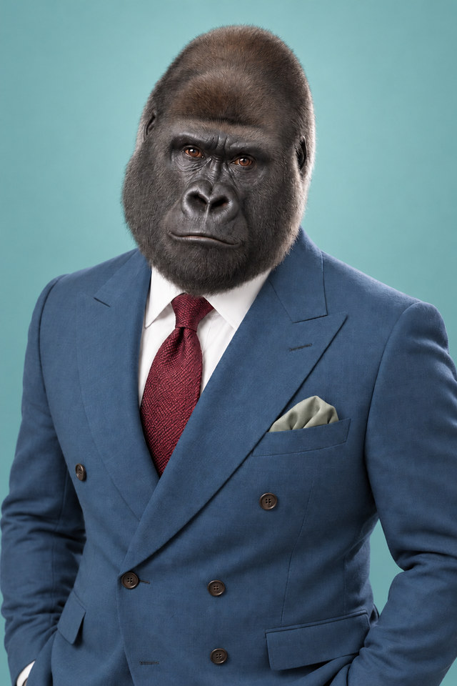 Rendered animal portrait representing strategy