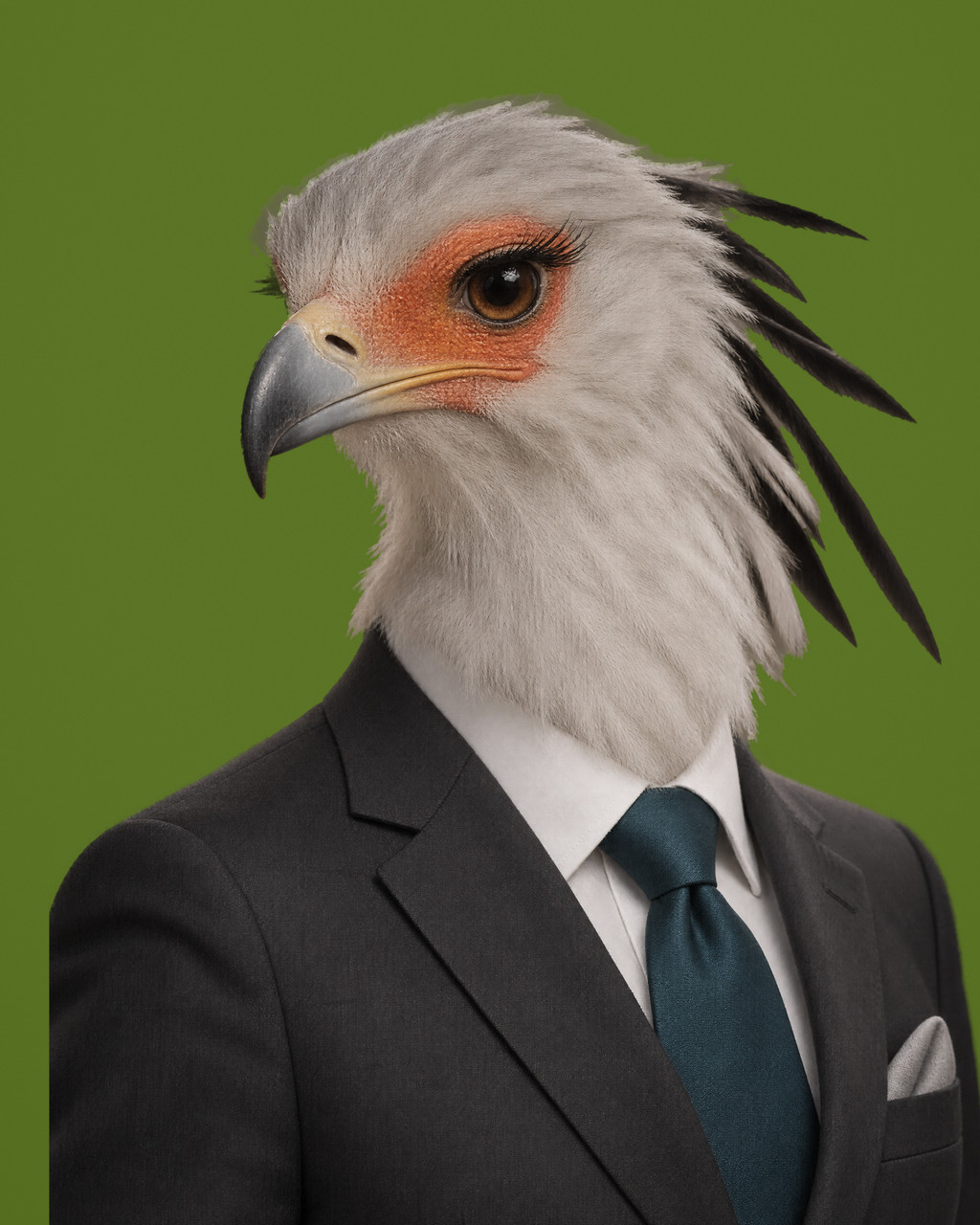 Adisa: rendered portrait of a secretary bird with a bare orange-red face patch and a short black crest, in a charcoal suit with a deep teal tie.