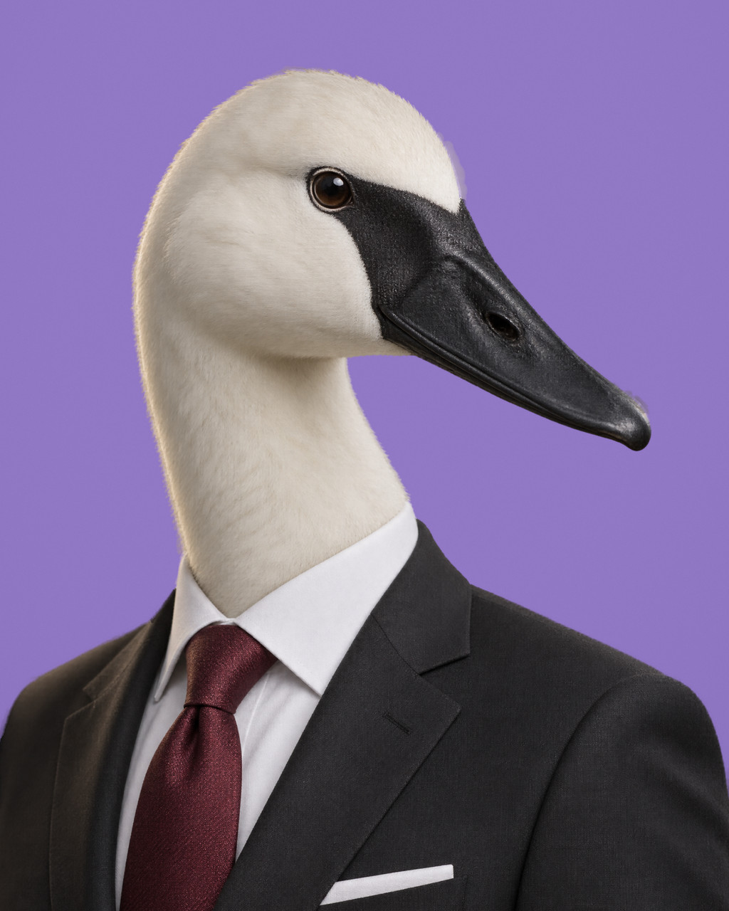 Bede: rendered portrait of a trumpeter swan with a long black bill, in a charcoal suit with a deep claret tie.