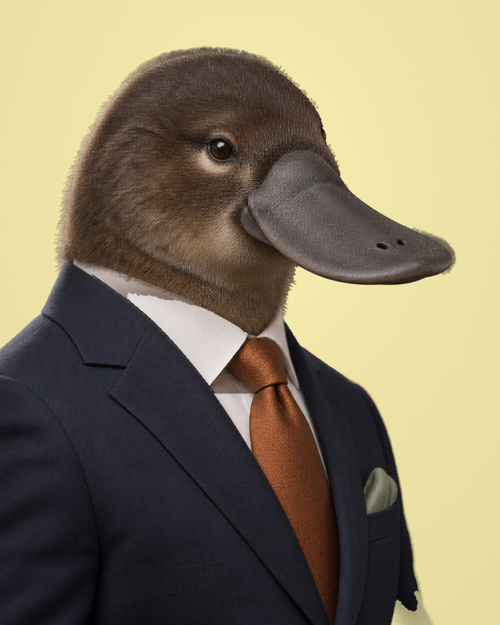 Kanaloa: rendered portrait of a platypus with a broad slate-grey bill, in a deep slate-navy suit with a burnt-copper tie.