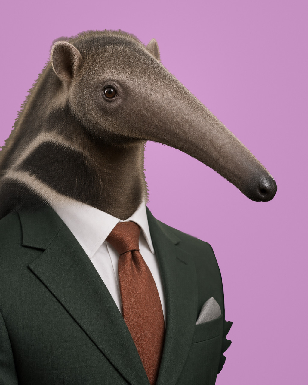 Mordecai: rendered portrait of a giant anteater with a long tapering snout and a black shoulder band, in a deep forest-green suit with a rust tie.