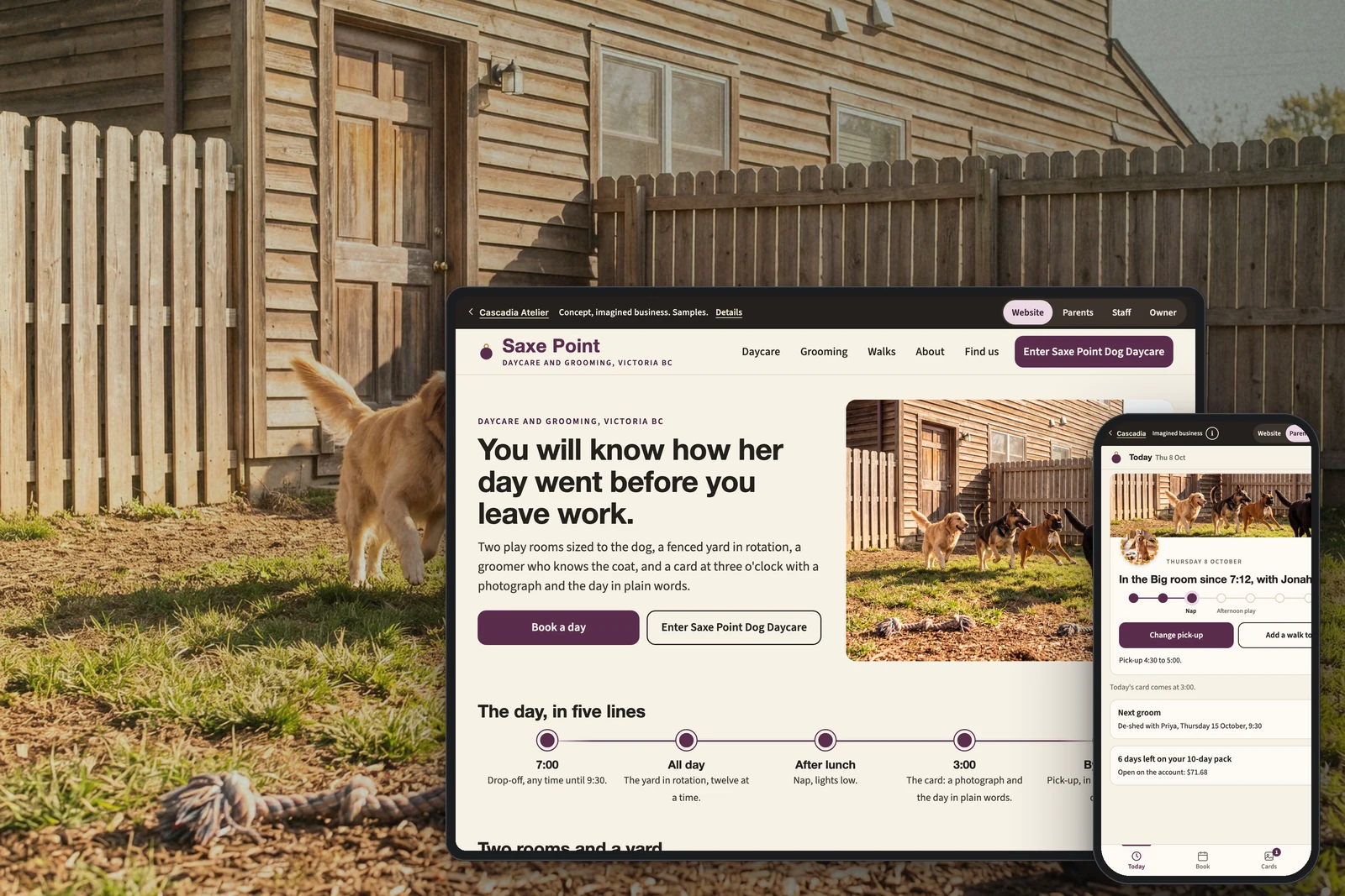 Pet care website and app concept